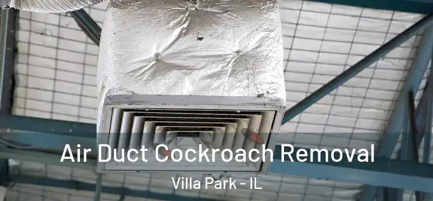 Air Duct Cockroach Removal Villa Park - IL