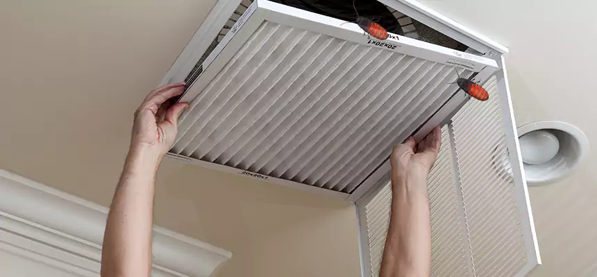 Preventive Cockroach-Proofing for Ducts in Villa Park