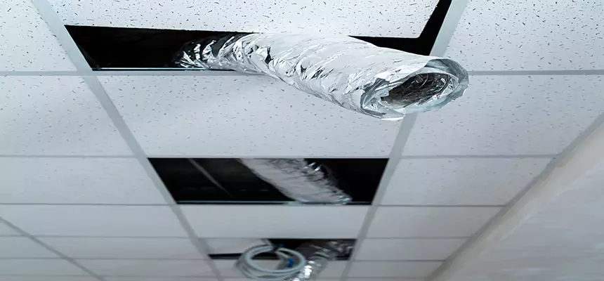 Our Air Duct Pet Hair Removal Services in Villa Park, IL