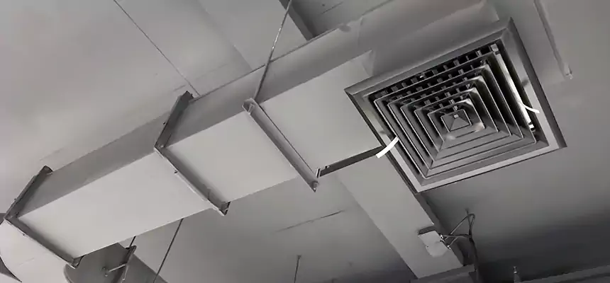 Restorative Allergy Relief Vent Cleaning – Coil, Blower & Housing Detail in Villa Park