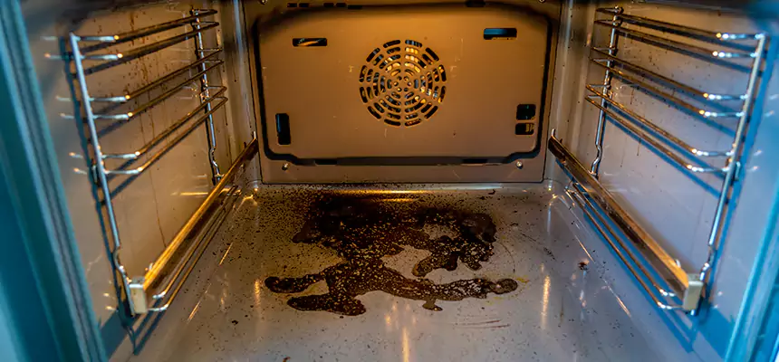 Our Dryer Vent Mold Cleaning Services in Villa Park, IL