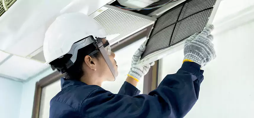 Our Mold & Mildew Removal from Air Ducts Services in Villa Park, IL