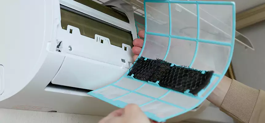 Gentle Ductwork Odor-Control Pet Dander Duct Cleaning in Villa Park, IL