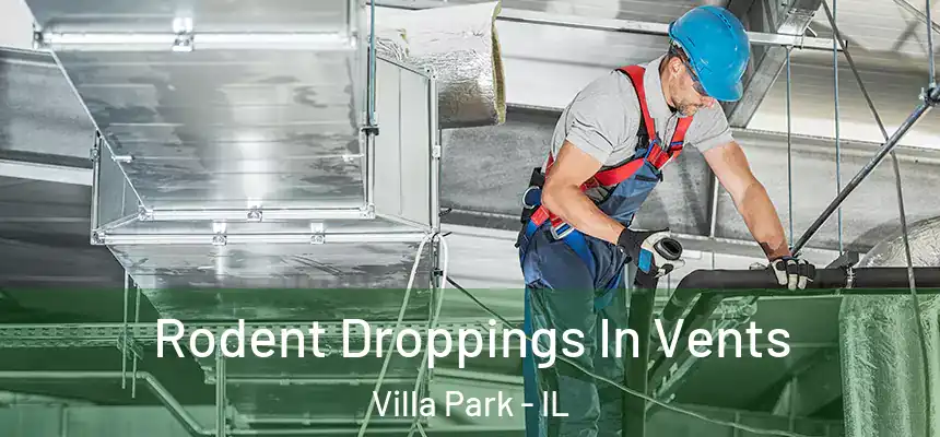 Rodent Droppings In Vents Villa Park - IL