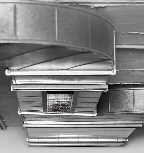 Professional Air Duct Pest Removal in Villa Park, IL