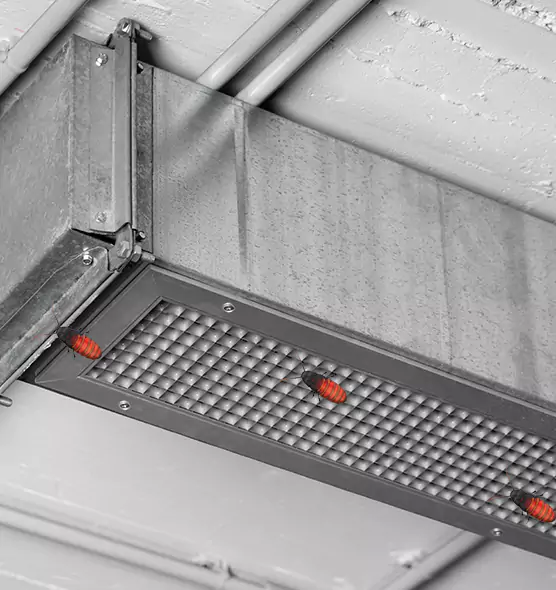 Affordable Insect Removal from Air Ducts in Villa Park, IL