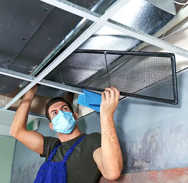 Why Homeowners Businesses Trust Us in Villa Park, IL