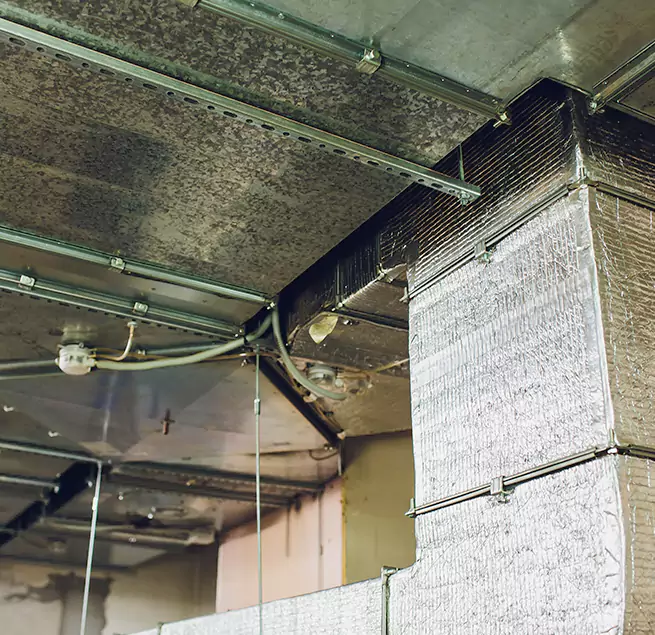 Why Homeowners & Businesses Trust Us in Villa Park, IL?